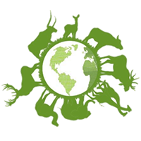 image-services